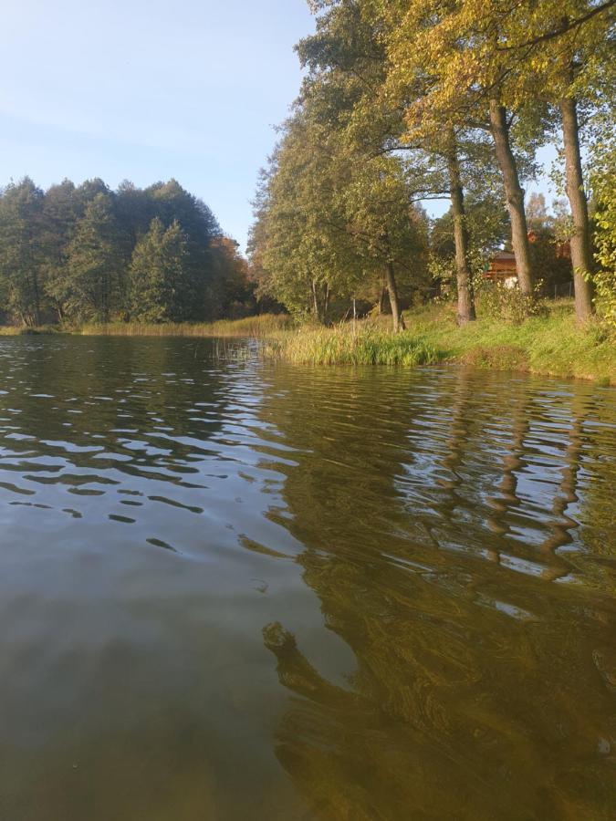 Lesny Azyl Bory Tucholskie Gostycyn Exteriér fotografie