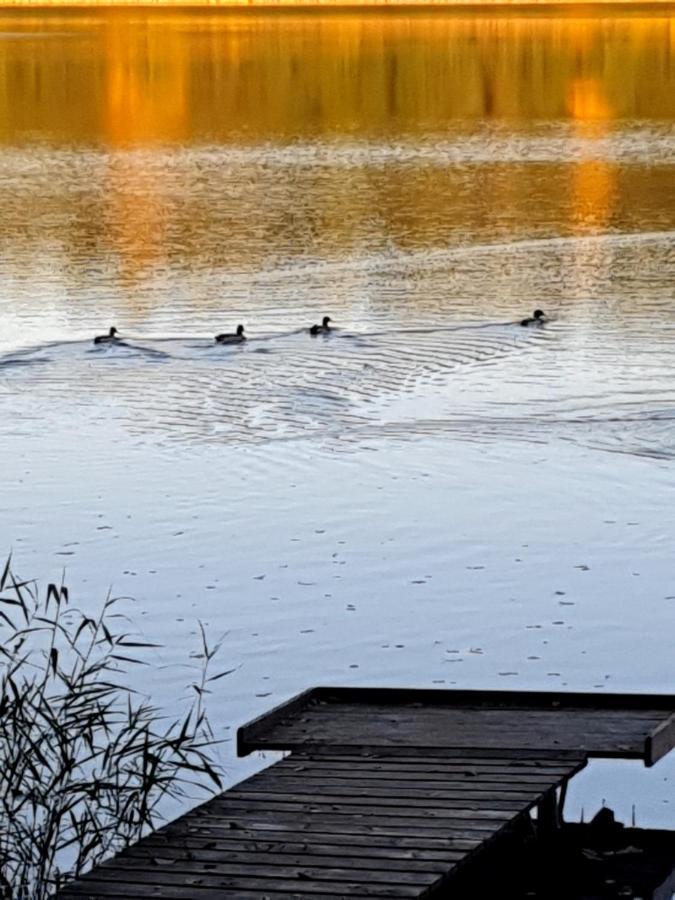 Lesny Azyl Bory Tucholskie Gostycyn Exteriér fotografie